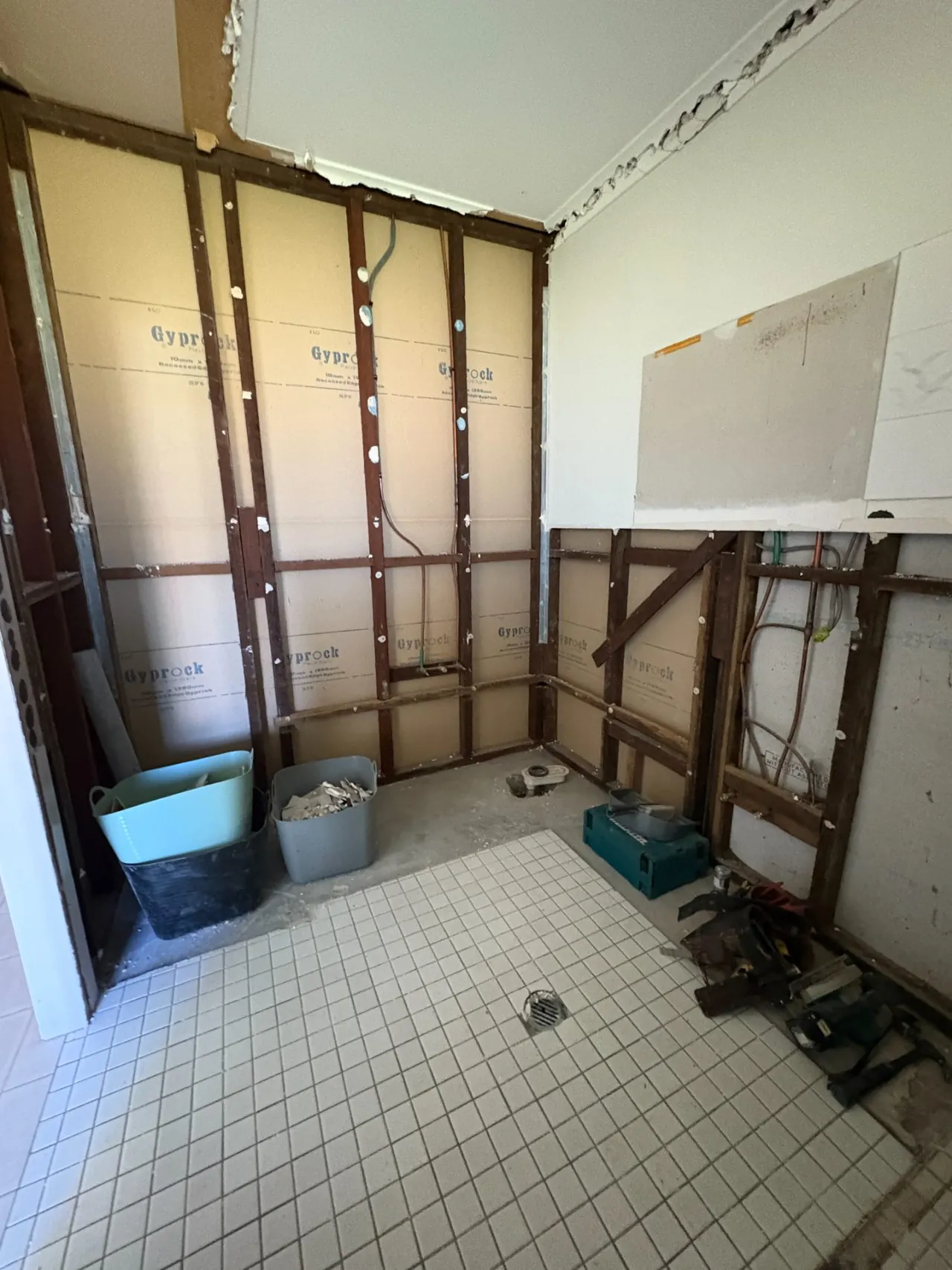 Bathroom strip-out