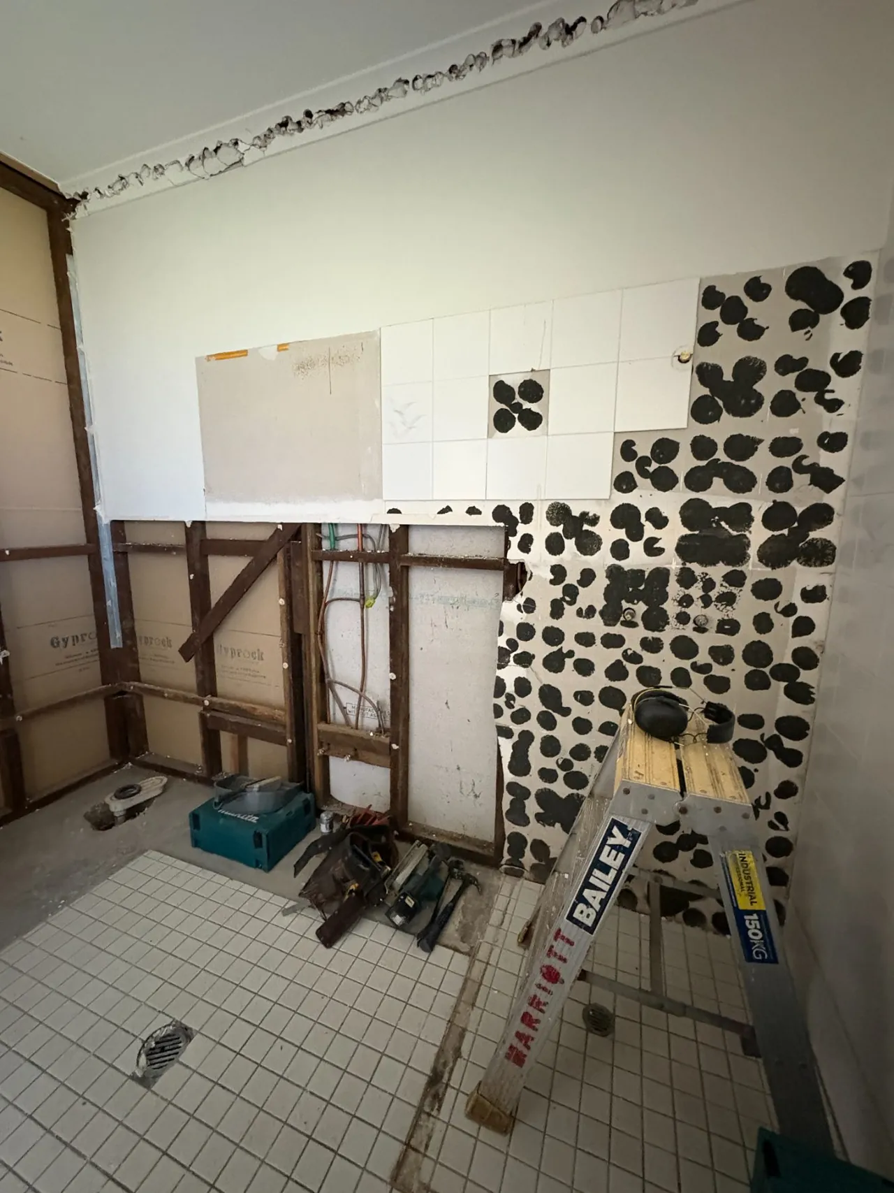 Bathroom strip-out